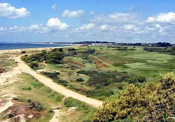 The Olive Tree Bed and Breakfast Gosport Eksteriør billede